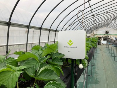 千葉市におけるスマート農業の推進を「e-kakashi」で支援