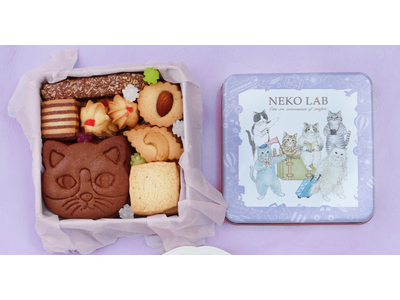 5月も全国各地へ。【NEKO LAB】5月催事出店スケジュールのお知らせ