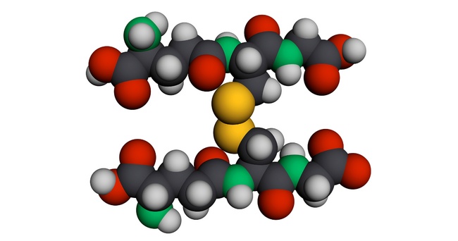 WAKU、北見工業大学と共同で高分子制御技術によるグルタチオンバイオスティミュラント研究を開始