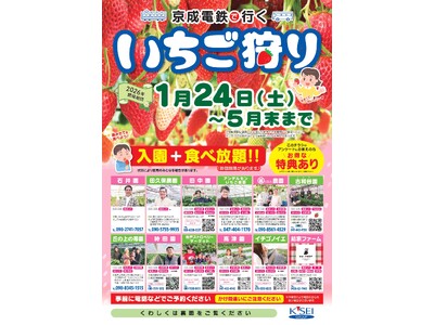 「京成電鉄で行く いちご狩り」開催
