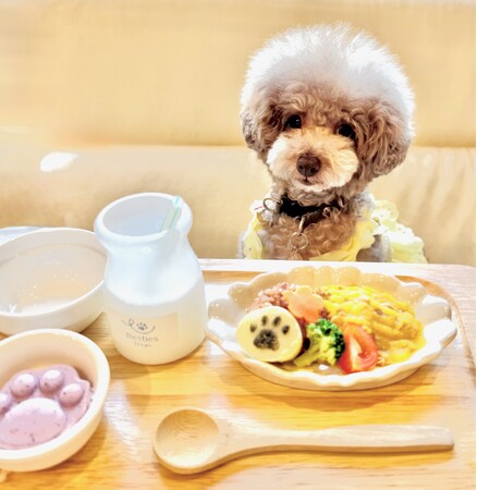 91%の飼い主が愛犬の熱中症を心配。猛暑の夏に、わんこのための夏バテ対策メニューを8月3日(月)より提供開始