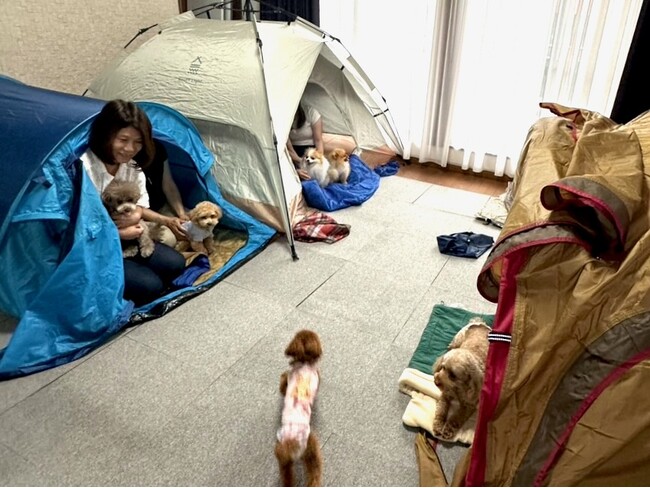 災害時も「愛犬と一緒に避難します！」備えはどこまで？ 飼い主100人を目標に独自調査、11月23日に結果を初公表。「離れるなら避難しない」の声を受け、新小岩で第2回ペット防災講座を開催