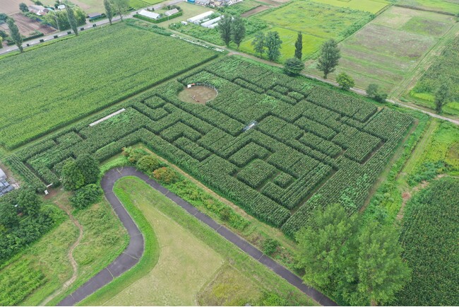 【福島県岩瀬郡鏡石町】岩瀬牧場「東北最大級！とうもろこし巨大迷路 」開催決定！