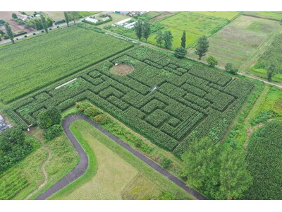 【福島県岩瀬郡鏡石町】岩瀬牧場「東北最大級！とうもろこし巨大迷路 」開催決定！