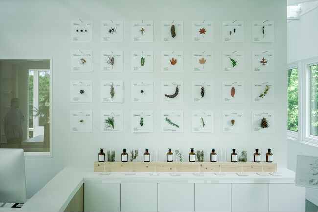 植物に触れて学べる森の素材研究室「TENOHA TATESHINA Lab.」が八ヶ岳の麓・蓼科に誕生