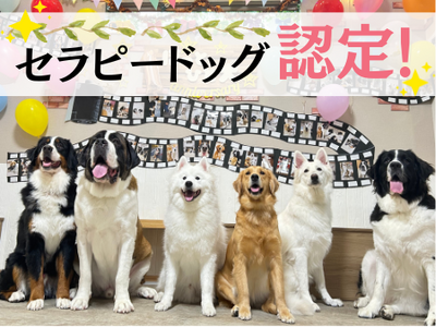 全国でも珍しい“大型犬セラピードッグカフェ” !? | 大型犬カフェ ほっとひと犬
