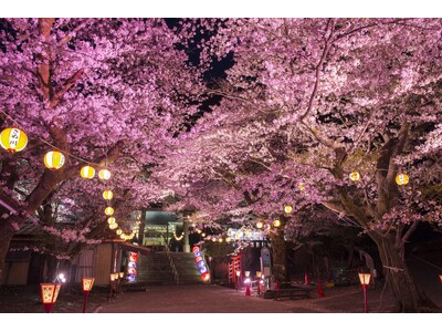 「行く春の花を訪ねる日光路」初春から初夏の心踊る花めぐり