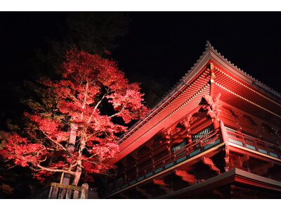 日常を忘れて心と身体を満たす、日光で過ごす贅沢な秋