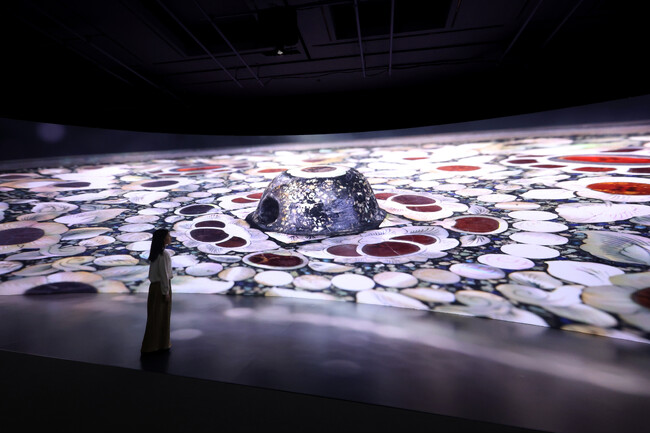 正倉院宝物を魅せるダイナミックな映像展示空間――『正倉院 THE SHOW』東京展にて Immersive Magic Wall を採用大阪展に続く“2拠点目導入”。圧倒的な没入感を創出