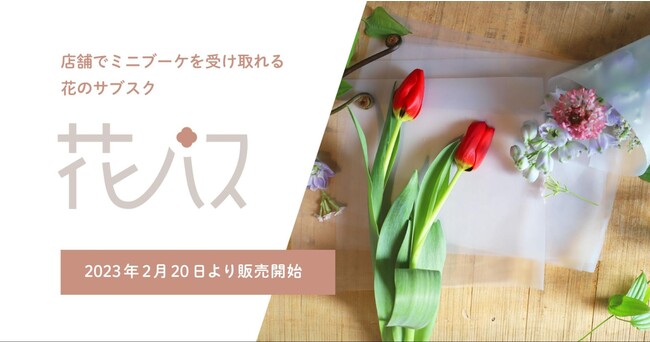 店舗でミニブーケを受け取れる花のサブスク「花パス」が2023年2月20日より販売開始のメイン画像