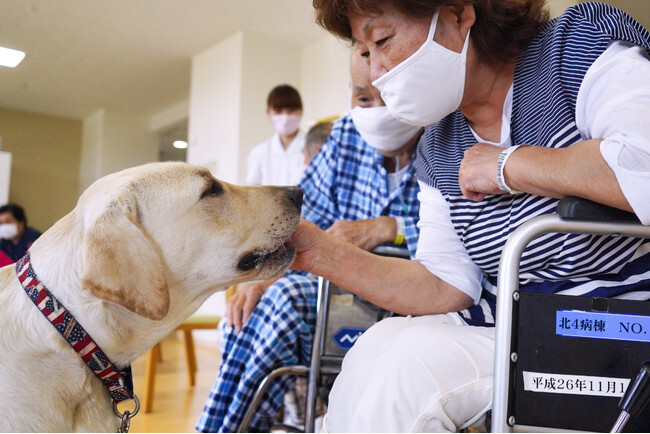 🐾 アニマルセラピーの専門団体として全国5番目。NPO法人とちぎアニマ…