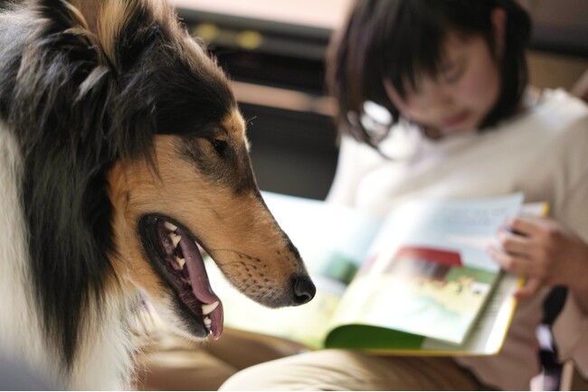 本を読むのは“わたし”と“わんこ”!公立図書館で「読書犬体験会」開催