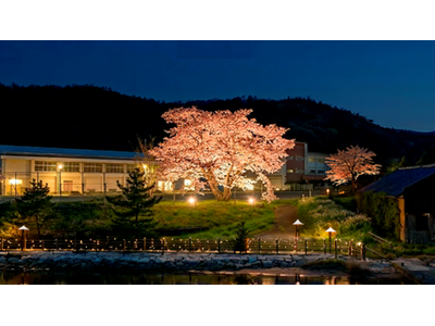 若狭湾の景勝地”三方五湖”がきらめく夜に―「宵の桜プロジェクトin三方五湖」初開催!