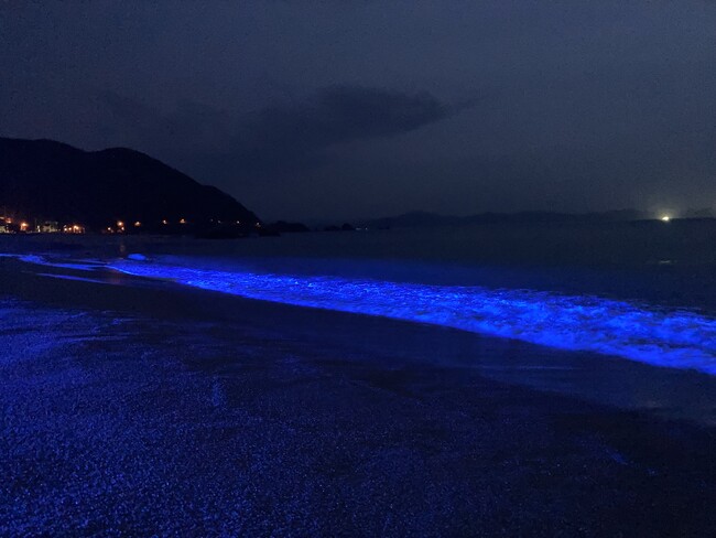 10/17(土)~19(月)NIGHT WAVE光の波プロジェクトin水晶浜で五感を呼び覚ますマインドフルネス体験、若狭みはまの秋夜に溶け込む、光と波の幻想世界へ