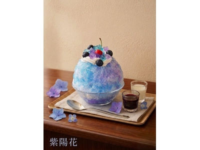 チョコレート専門店が本気で挑む、贅沢な「涼」の芸術。東京チョコレートファームから、ひと口ごとに変化する革新的な「新作かき氷3種」が期間限定で登場。