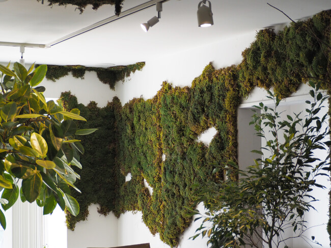 植物専門組織NAGIが手掛ける-自然と共存する次世代店舗『mi:ne』誕生-