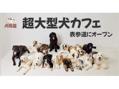 世界的にも珍しい!超大型犬専門カフェ「犬席屋」10月表参道オープン