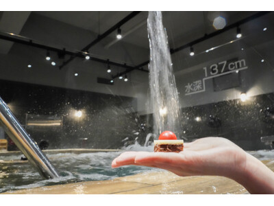 【新商品】幸せの“カウンターパンチ”がリニューアル！