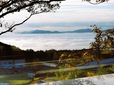 秋から冬へ移り変わるニセコ。今だけの秋景色を楽しんで