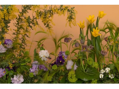 「銀座階段ギャラリー」、「フォト・プロムナード」4月度写真展開催のお知らせ 数々の受賞歴のある写真家 馬場道浩氏がD850で撮影した春の花の作品を展示