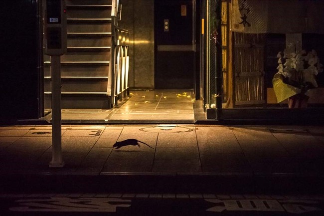 jRTNxܑ46uɓސMj܁v 23uO؏~܁v܍i