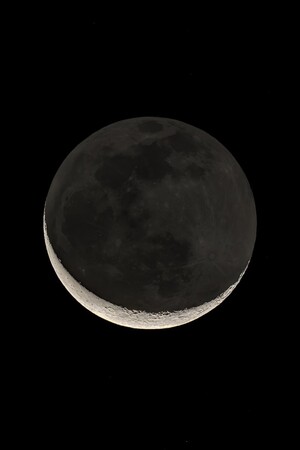 THE GALLERYW R׏ƍiWu̔@ȂS@F̐i߂āvJ