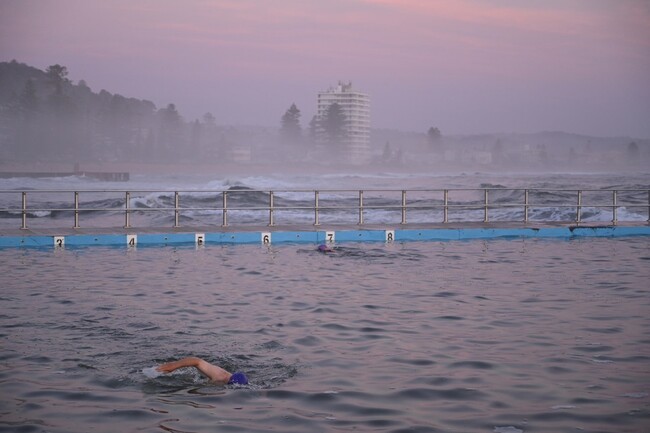 THE GALLERYZNVW NLgmRʐ^WuCŃv[ȐlX `People at the Pool beside the Beautiful Beach`vJ