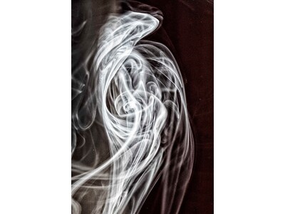 THE GALLERY 企画展 白鳥真太郎写真展 「光と影、色・形」 を開催