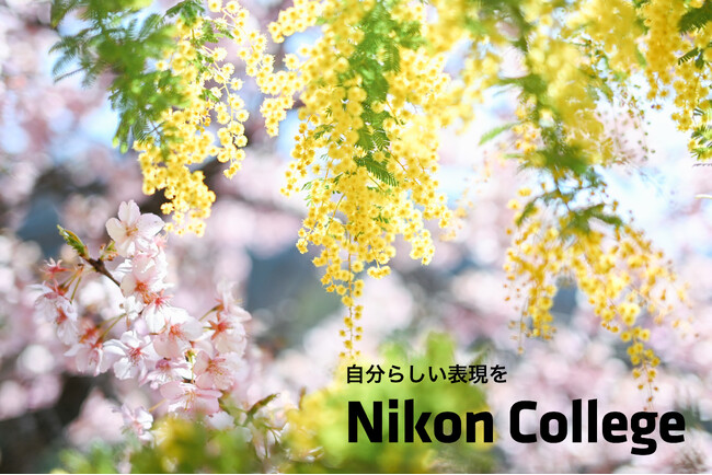 プレスリリース「写真教室「ニコン カレッジ」 2026年1月～3月期の講座を公開」のイメージ画像