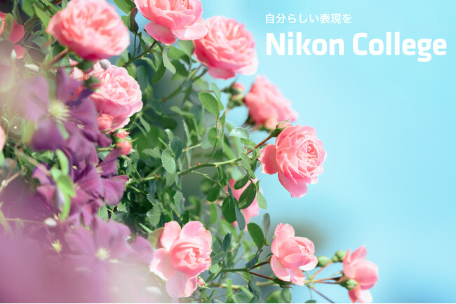 �ʐ^�����u�j�R�� �J���b�W�v 2026�N4���`6�����̍u�������J