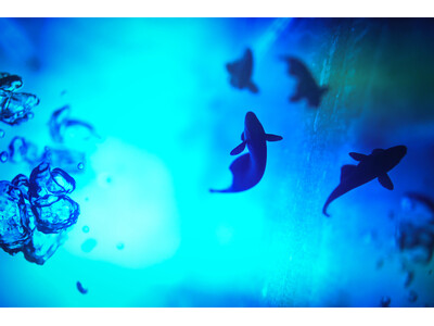 THE GALLERYセレクション展水咲 奈々　写真展「Gradually」を開催