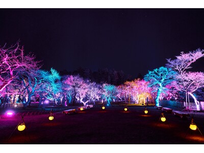 2025年 いばらきネクストツーリズム推進事業「珠玉の企画」第1弾～第3弾 絶賛販売中！