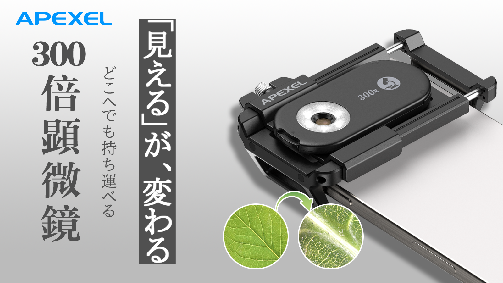 スマホが一瞬で顕微鏡に！300倍拡大可能なスマホレンズ「PhoneMicro」がMakuakeに登場