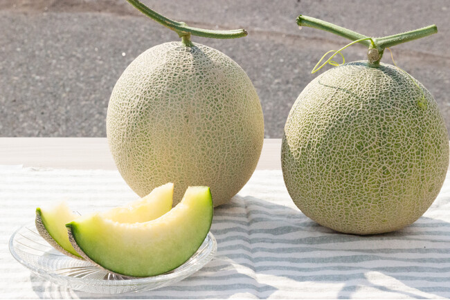 日本初の“幻のメロン食べ比べ通販”に群馬県昭和村で唯一のメロン農家が挑戦。俳優・なべ おさみさんも絶賛