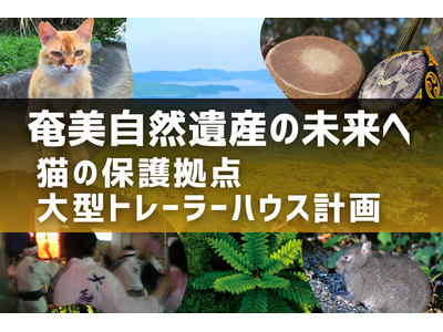 世界自然遺産の登録地・奄美大島で 外猫ゼロを目指して クラウドファンディングに初挑戦!