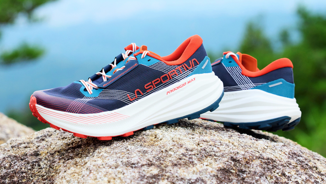 スポーツエントリー