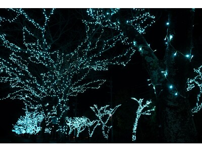 「ウインターイルミネーションこもの」点灯式を開催