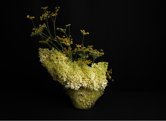 プレスリリース「フラワーアーティスト 蔦谷ヨシミツ 5 月 TSUTAYA STUDIO にて POP UP 開催」のイメージ画像