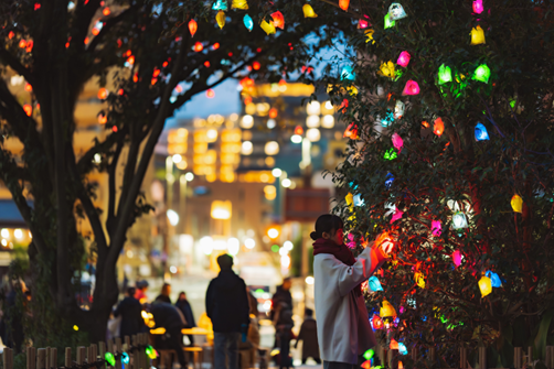 プレスリリース「【愛媛・松山】冬の道後を彩るアートイベントを開催」のイメージ画像