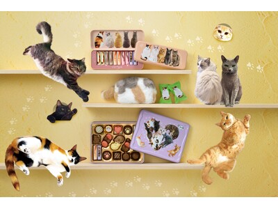 2026年メリーチョコレートバレンタイン　猫好き必見！愛おしい仕草や表情を詰め込んだバレンタイン限定「ねこみゃみれ」が新商品を含むラインナップで登場！