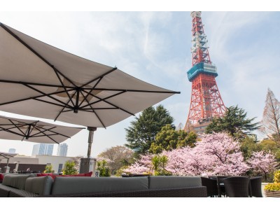 【東京プリンスホテル】東京タワーとともに満開の桜を楽しむ「桜まつり 2020」を開催