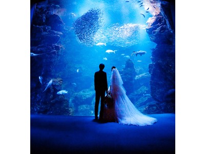 【リーガロイヤルホテル京都】京都水族館 挙式プラン Night Aquarium Wedding ～夜の水族館で愛を誓う～ 販売開始