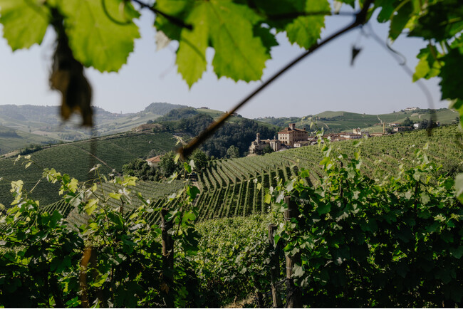 【リーガロイヤルホテル京都】~イタリアワインジャーナリスト 宮嶋勲 × フレンチダイニング トップ オブ キョウト シェフ 寺田篤史~「イタリアワインと京フレンチの饗宴」開催