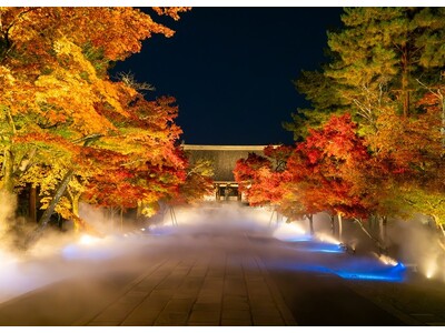 【リーガロイヤルホテル京都】仁和寺 「紅葉雲海ライトアップ」 拝観付ステイプラン 販売