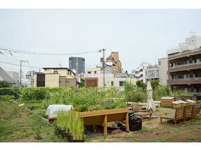 原宿の国有地に期間限定の菜園＆コミュニティコンポストを設営。都市での資源循環の実践を振り返る「原宿はらっ...