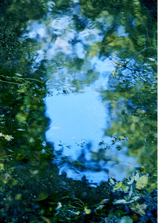 『 水辺の肖像 | waterside portrait 』安永ケンタウロス写真展