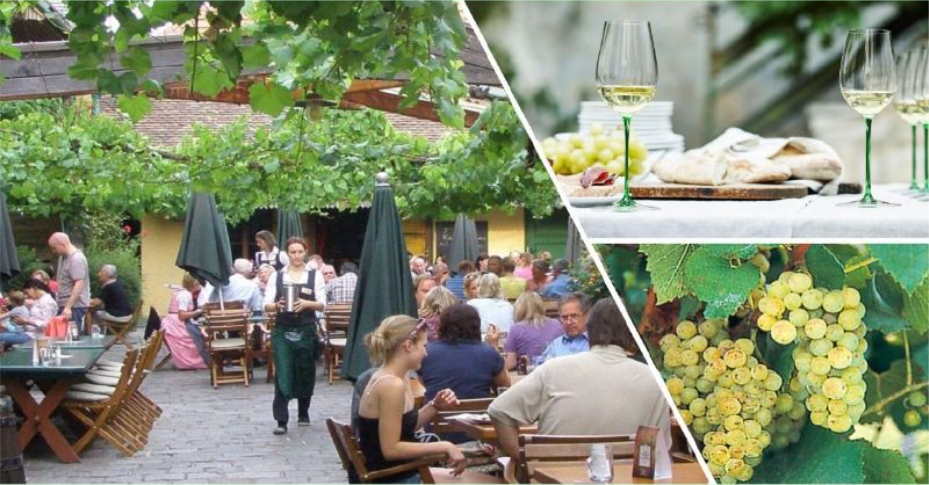 ５０種類以上のオーストリアワインが集結！　『オーストリアワイン　フェスティバル』７月２日・３日開催　～オーストリア本場の食文化に触れ合う２日間～