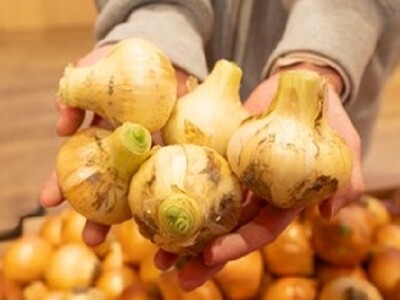 地域の皆様へ日頃の感謝を込めて 淡路島の特産品等を特別価格で販売 『地方創生マルシェ』 5月9日~15日...