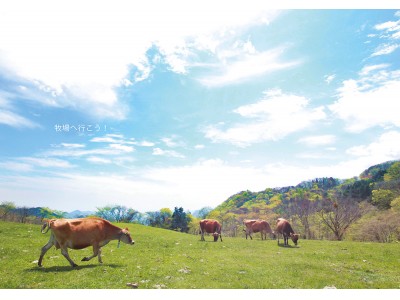 「大手町牧場」で牛の魅力に触れる　牛の写真展『牧場へ行こう！』11/18～12/9開催