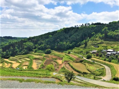 『瞑想ヨガイベントin上籾棚田』6月24日開催　岡山県久米南町の地方創生 「上籾棚田」復元プロジェクト